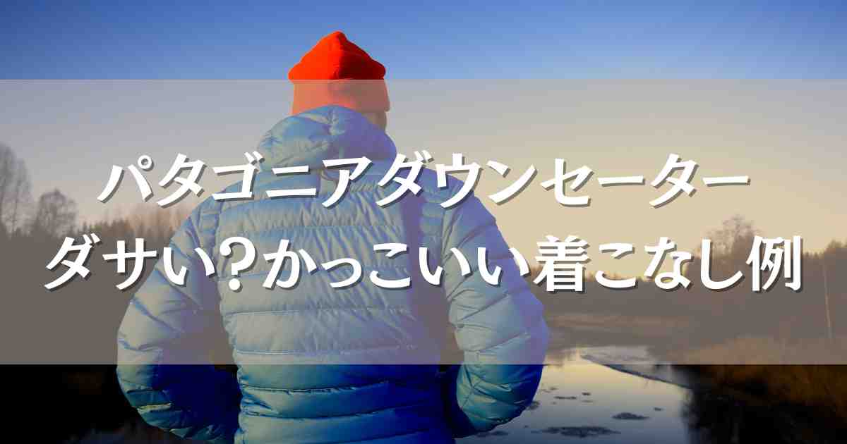 パタゴニアのダウンセーターはダサい？口コミ評判やかっこいいコーデや着こなし、サイズ感まとめ