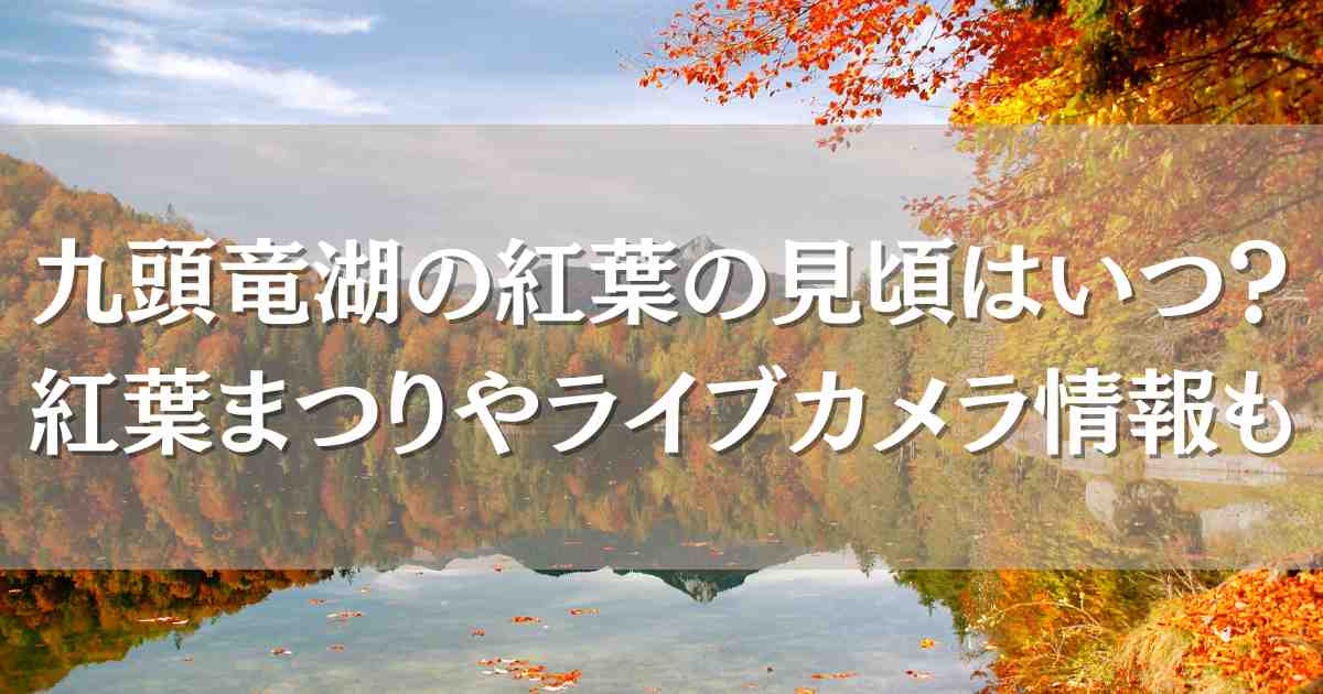 九頭竜湖の紅葉の見頃はいつ？紅葉まつりの日程やライブカメラで色づきや渋滞をチェック